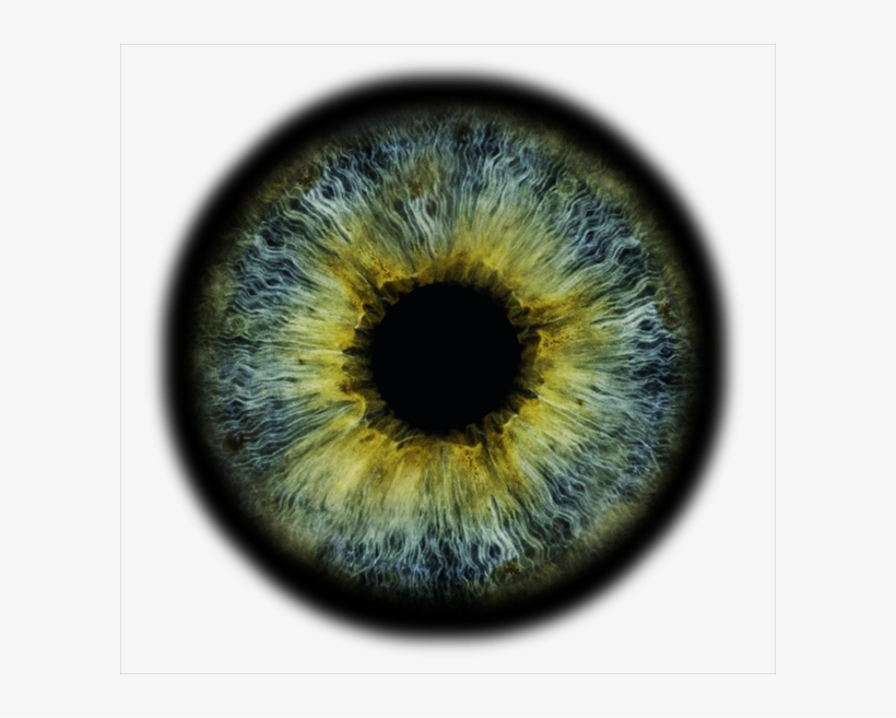 Ophthalmologists In Toronto, Scarborough, & Unionville - Toronto, transparent png