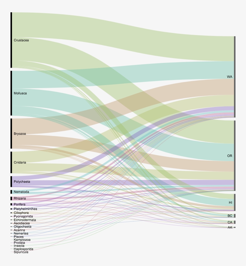 Alluvial Diagram Showing The Geographic Landing By - Alluvial Diagram, transparent png