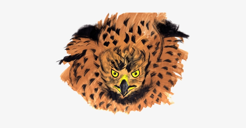 Drawn Sketch,children's Book - Канюк Звичайний Малюнок Акварелью, transparent png