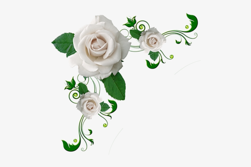 Clip Art Flowers Real, transparent png