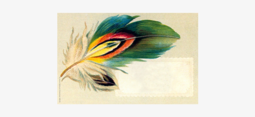 Pheasant Feather Pheasant Feather - Posterazzi Feather Nostalgia Cards Canvas Art - (18, transparent png