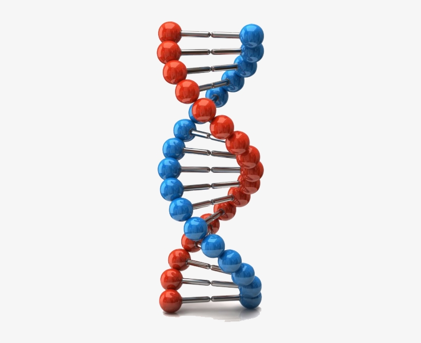 Dna, Forensics, Forensic Science, Cops, Ancestry, Genealogy, - Dna, transparent png