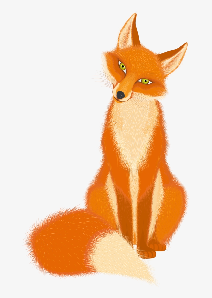 Cartoon Fox Transparent Background, transparent png