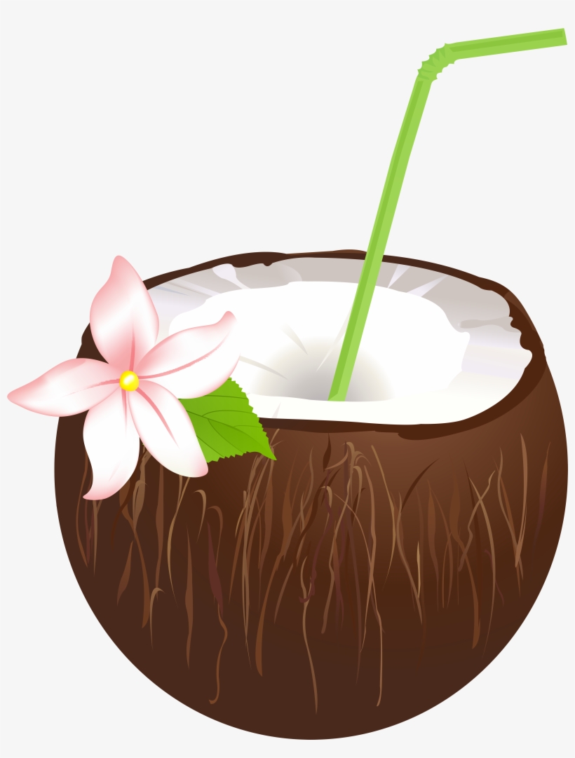 Summer Coconut Drink Png Clip Art Image, transparent png