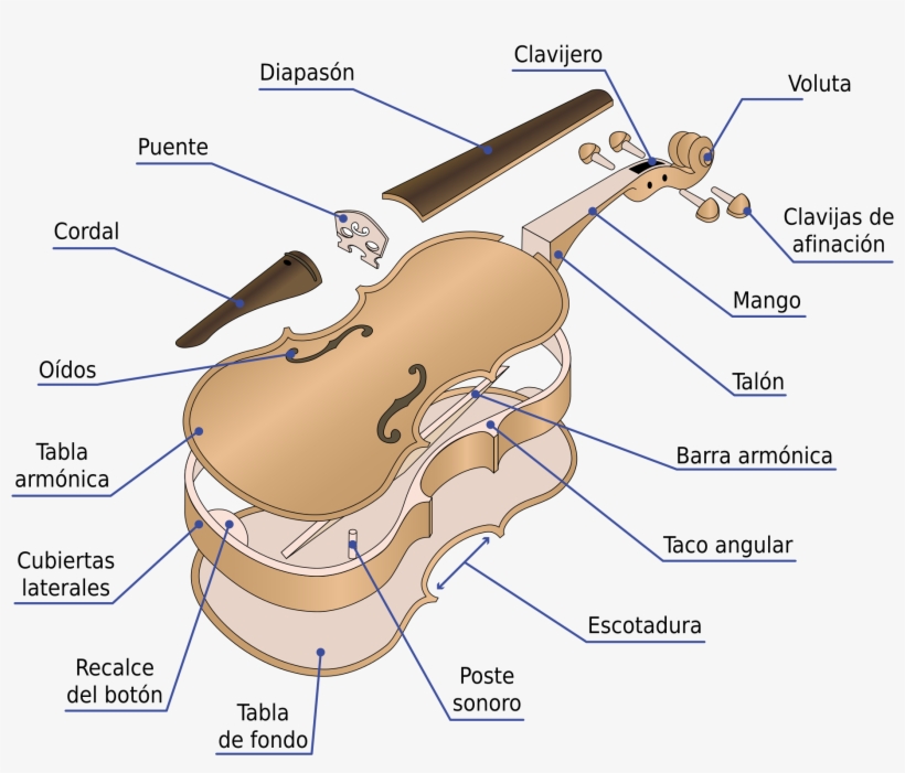 Open - Partes De Un Violín, transparent png