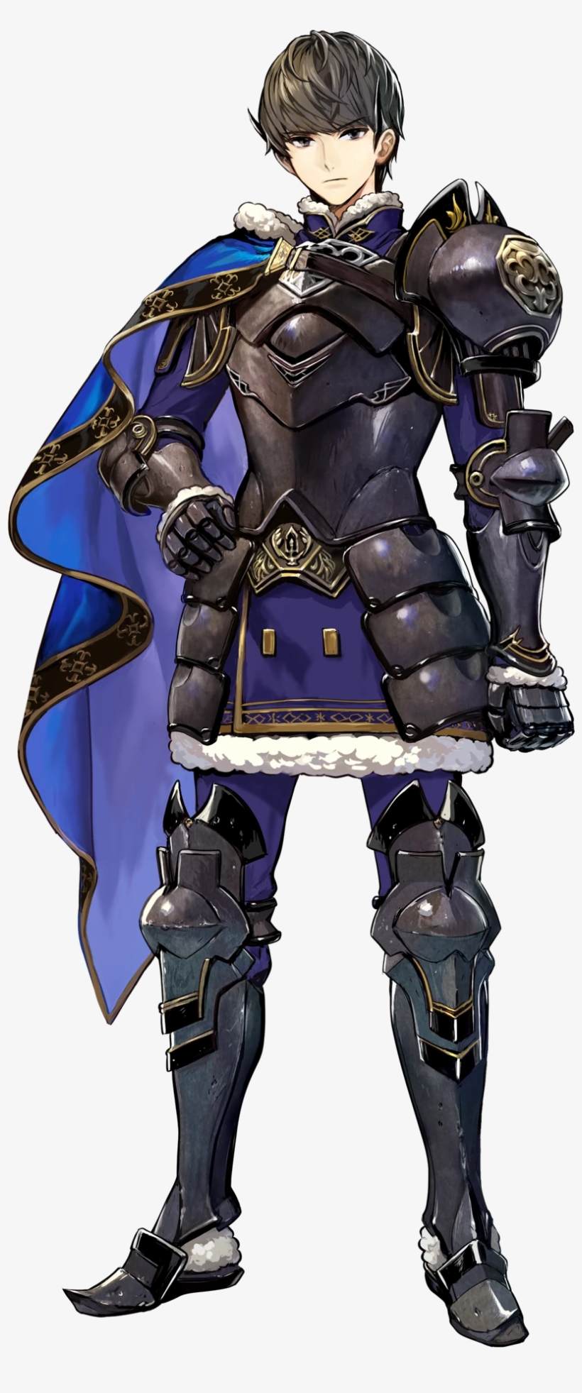 Berkut From Fire Emblem Echoes - Fire Emblem Heroes Berkut, transparent png