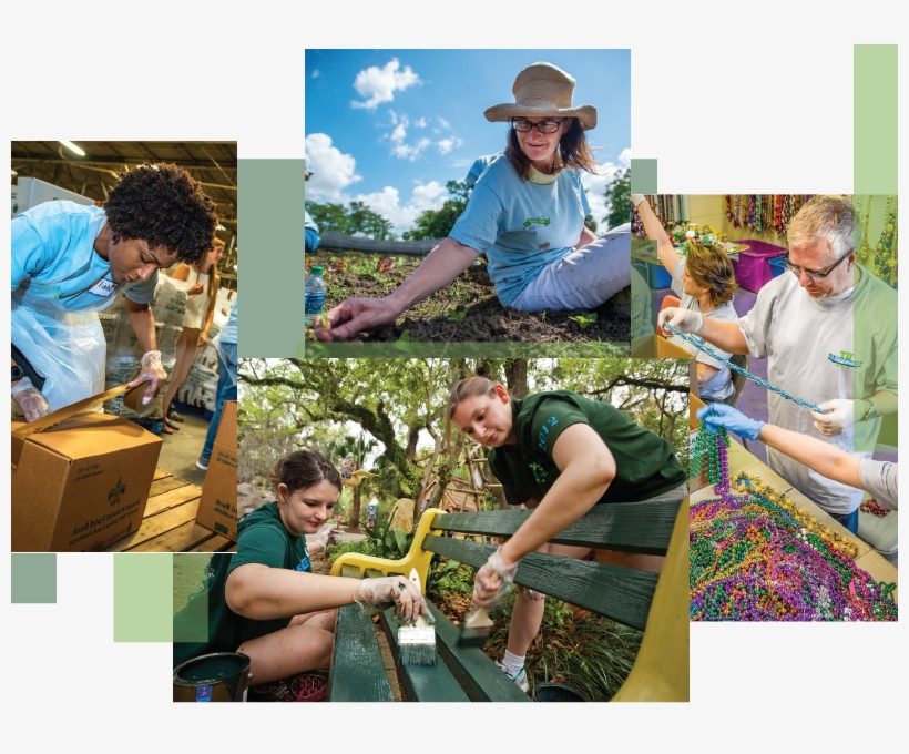 Tulane University Wave Of Green Day Of Service - Green Day, transparent png