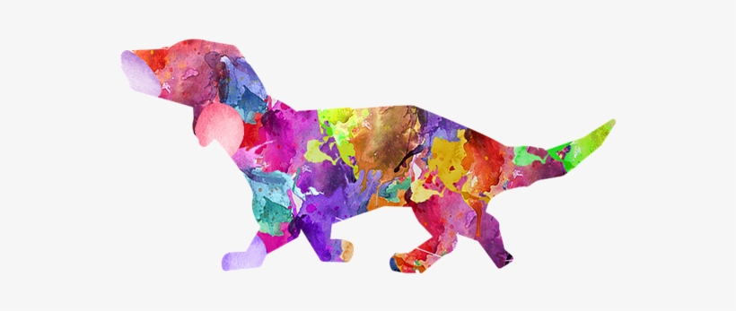 Dog, Painted Dog, Colorful Dog, Puppy - Dog, transparent png
