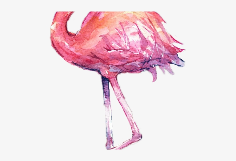 Фламинго Акварелью, transparent png