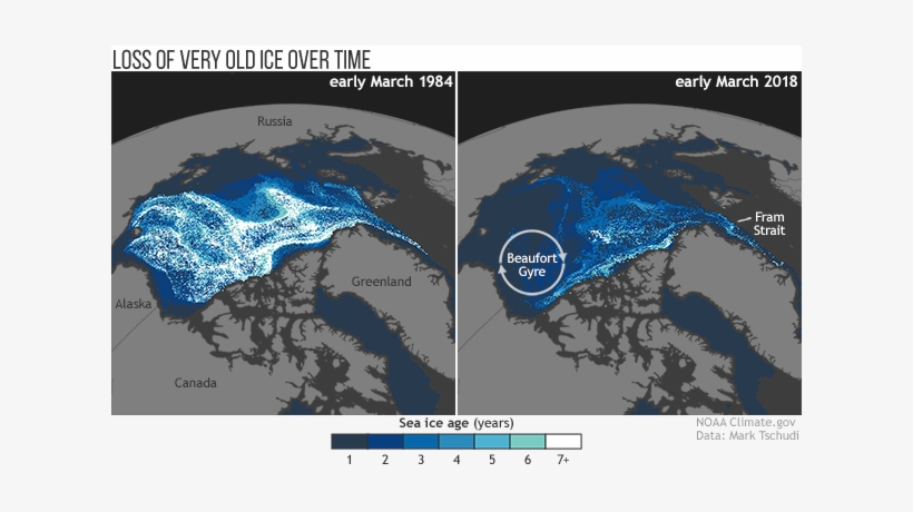 Old Sea Ice Continues Disappearing From The Arctic - Arctic Sea Ice 2018, transparent png