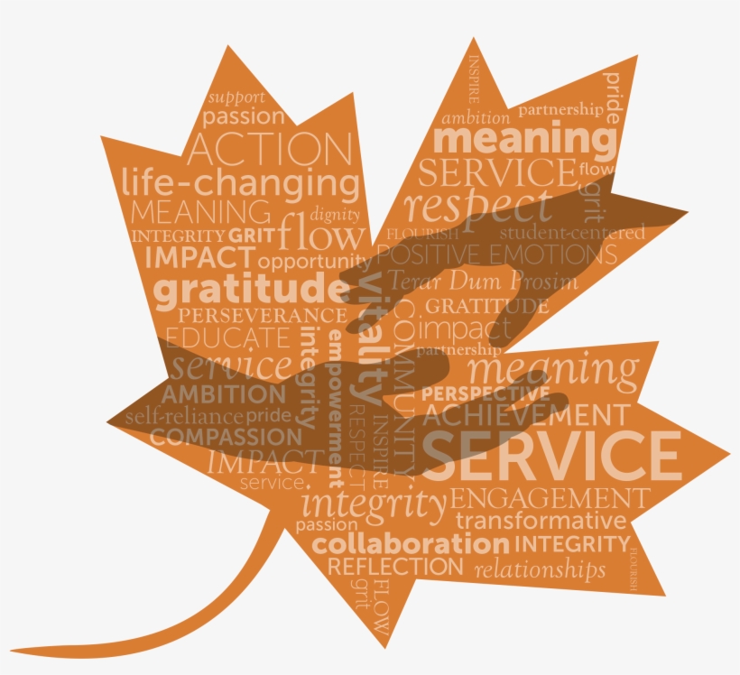 During The 2017 March Break, Three Groups Of Ridley - Service-learning, transparent png