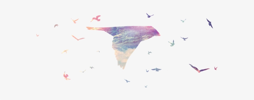 Humpback Whale, transparent png