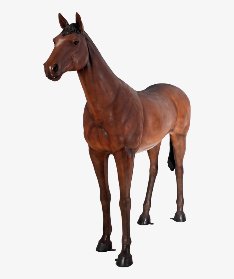 Related Wallpapers - Design Toscano Life-size Quarter Horse Filly Statue, transparent png