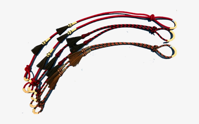 Horse, transparent png