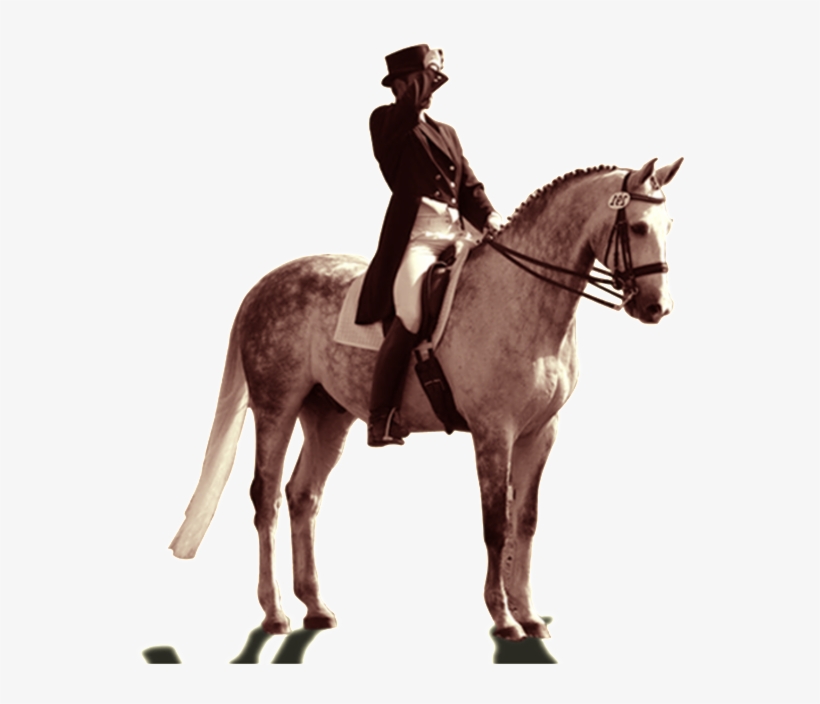 Pintado Caballo Png - Knight With Horse Png, transparent png