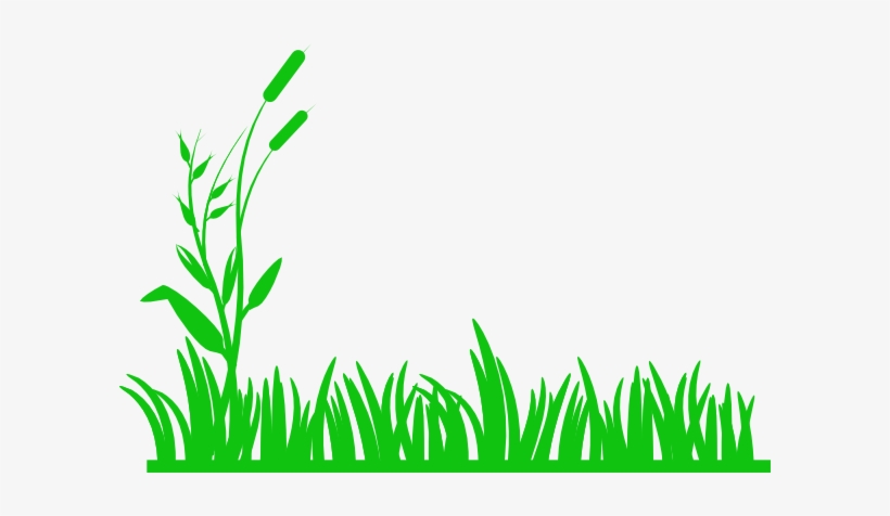 How To Set Use Meadow Clipart, transparent png
