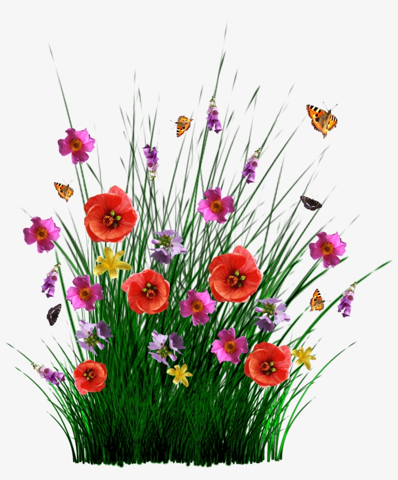 Isolated Spring Flowers Grass Meadow - Pasto Con Flores Png, transparent png