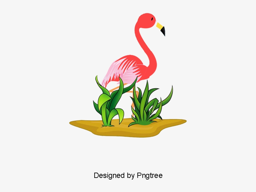 Vector Flamingos, Flamingos, Red, Hand Painted Flamingos - Psd, transparent png