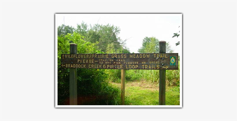 Prairie Grass Meadow Trail - Meadow, transparent png