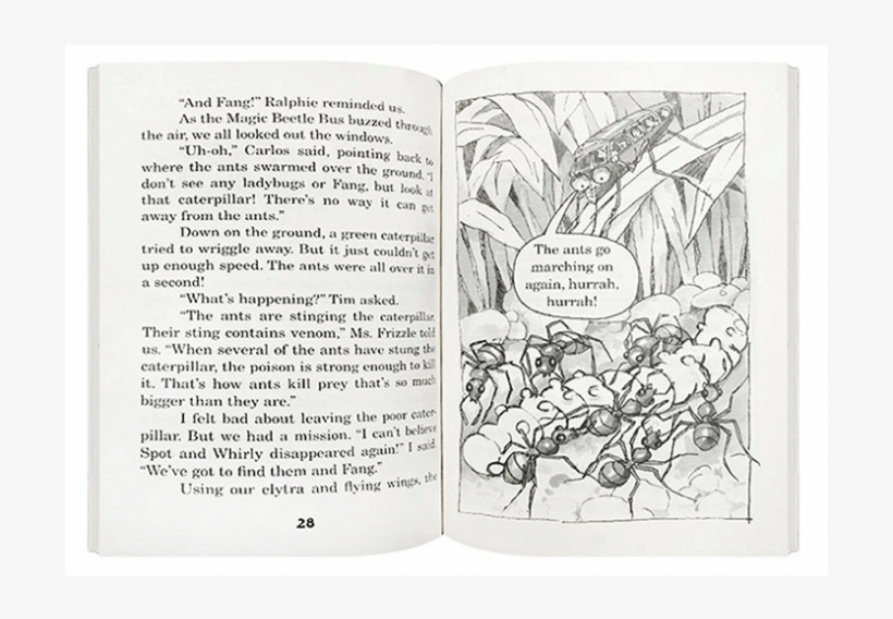 The Magic School Bus Discovery Set 2 - Book, transparent png