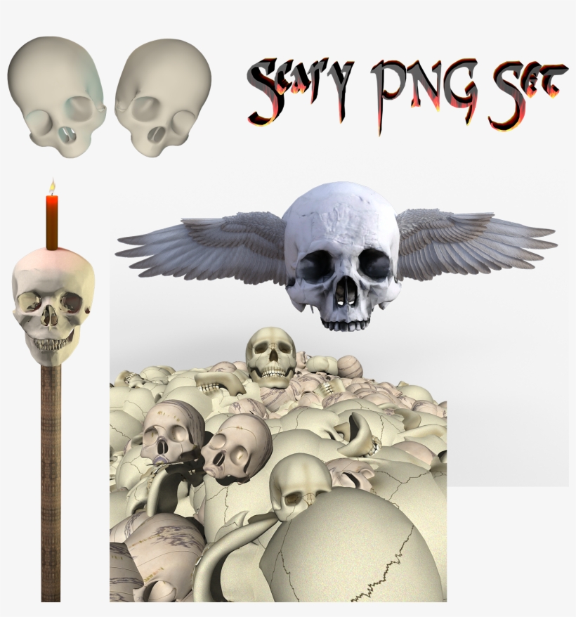 Previous Next - Skull, transparent png