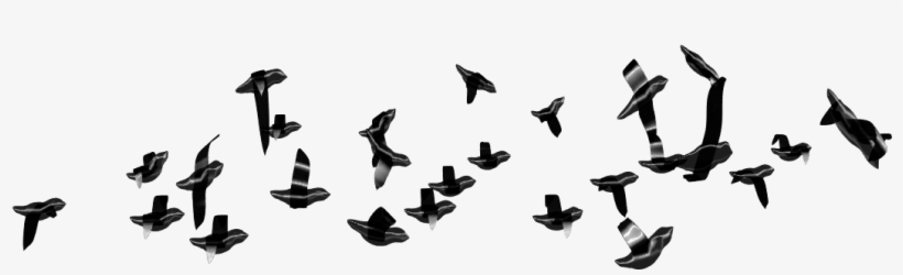 Aca Les Compartimos Unas Cuantas Imágenes De Aves En - Portable Network Graphics, transparent png