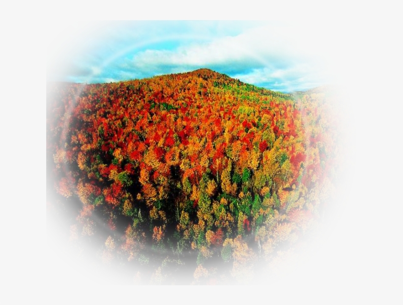 Paisajes Y Flores Png - Die Erde Von Oben 3 [de-version] Dvd, transparent png
