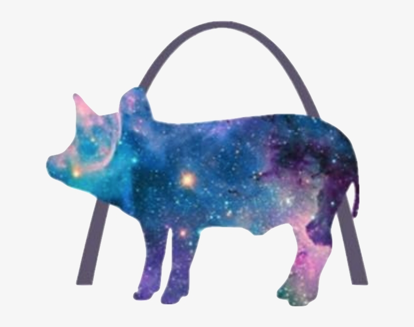 Stellar Hog - Milky Way Blanket, All Over Print Throw Blanket, 50", transparent png