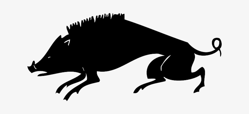 Boar, Wild Boar, Wild Pig, Pig, Animal, Hog, Black - Jabali Silueta Png, transparent png