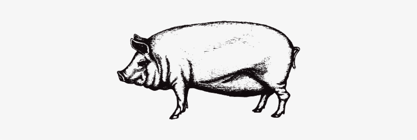 Smoke Out Festival Vip Pass - Drawing, transparent png