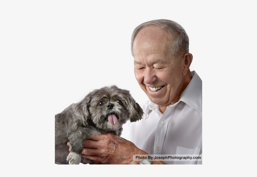 Chinese Imperial Dog, transparent png