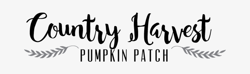 Pumpkin Patch Black And White, transparent png