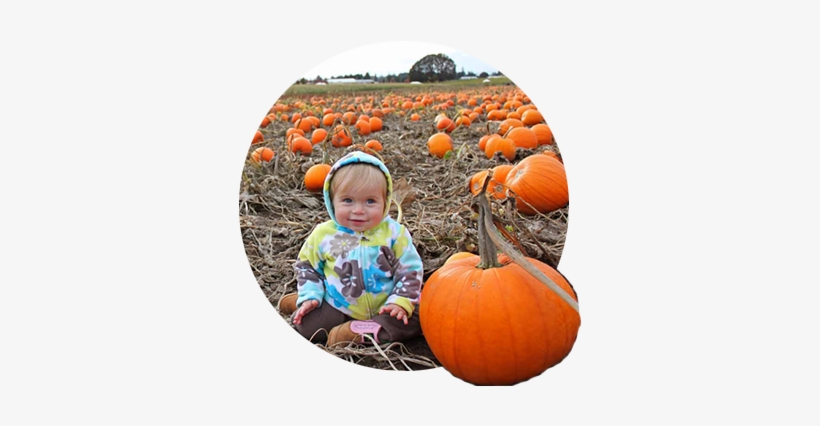 Blonde Cherub Faced Toddler In Floral Hoodie Sits Among - Pumpkin, transparent png