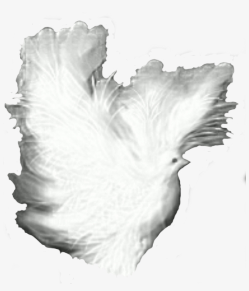 This Free Icons Png Design Of Dove Fantasy White Shadows, transparent png