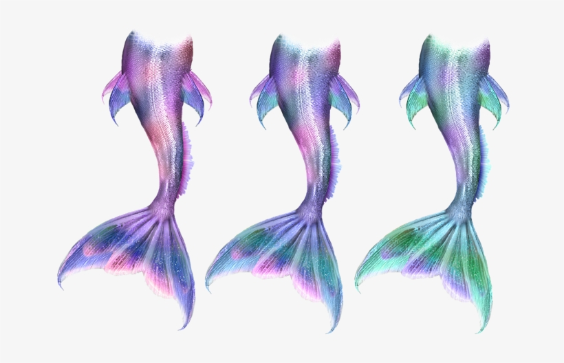 Merma#2817842 960 - Artsadd Stylish And Customized Soft And Comfortable, transparent png