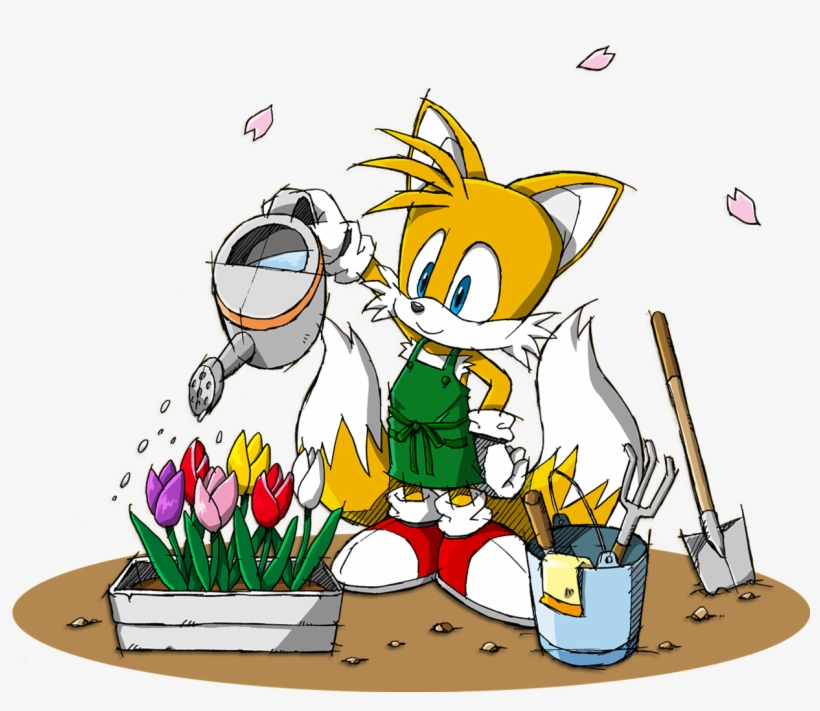 Image Sonic Miles Tails Prower Png News - Sonic Channel Tails, transparent png