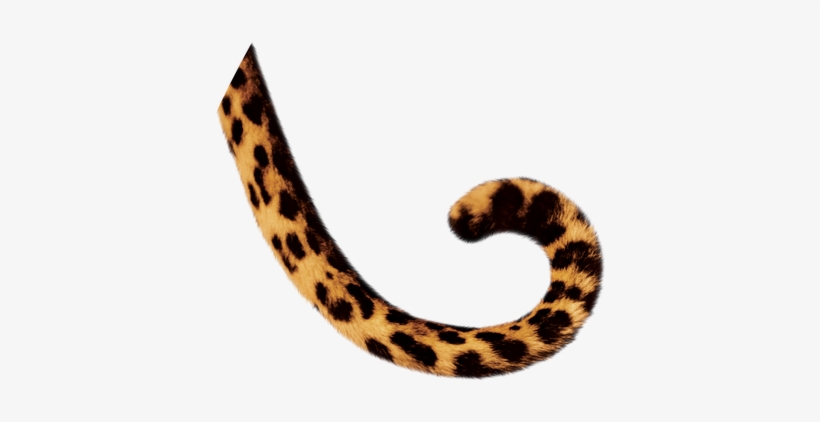 Png Royalty Free Library Tail Png Images Pluspng Filetiger - Animal Tail Clipart, transparent png