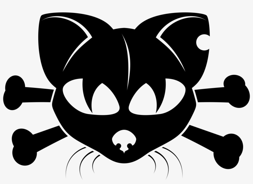 Gato Png, transparent png