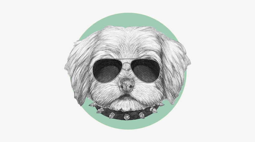 Dog Rooming Regina Badass - Dog, transparent png