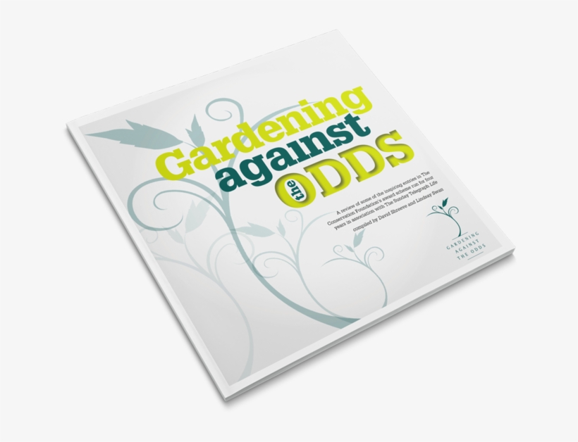 Gato-cover, transparent png