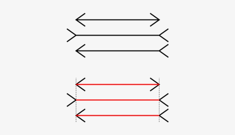 I'm In Love, Head Over Heels, I Don't Need To Look - Muller Lyerova Varka, transparent png