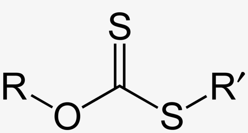 Xanthate Ester 2d General - General Structure Of Sulfonylureas, transparent png