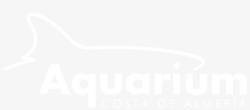 Logo Mono Blanco - Leinster Rugby Logo White, transparent png