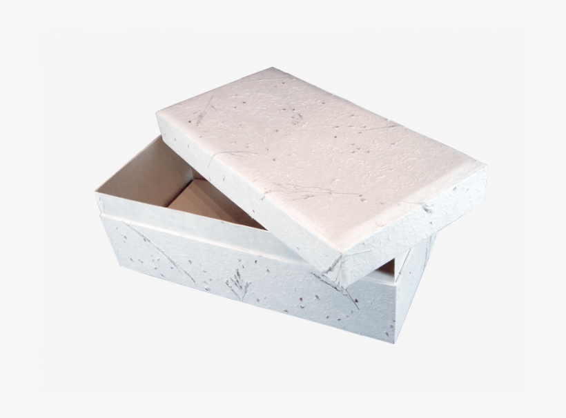 Plywood, transparent png