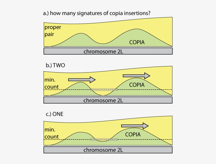 Diagram, transparent png