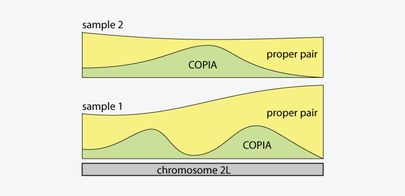 This Raises The Question How Signatures Of Te Insertions - Illustration, transparent png