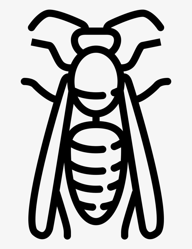 Big Wasp Comments - Wasp, transparent png
