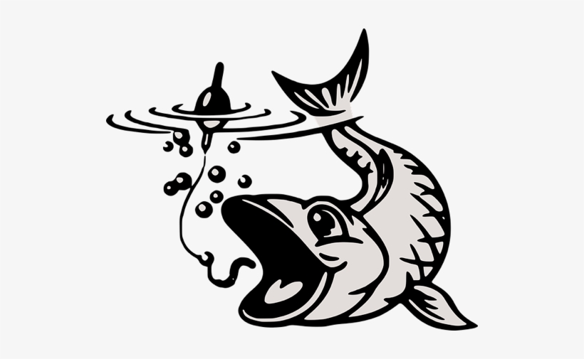 This Was A Phishing Awareness Email From Uf Health - Clip Art Fish On Hook, transparent png