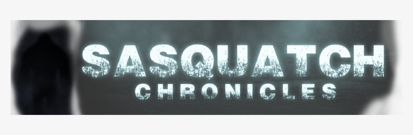 Login - Sasquatch Chronicles, transparent png