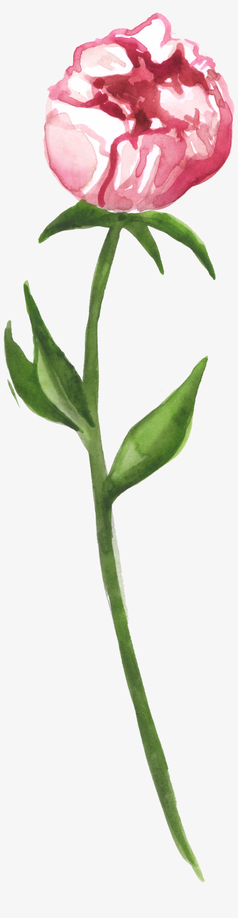 Wrapped Flower Heart Transparent Decorative - Cartoon, transparent png